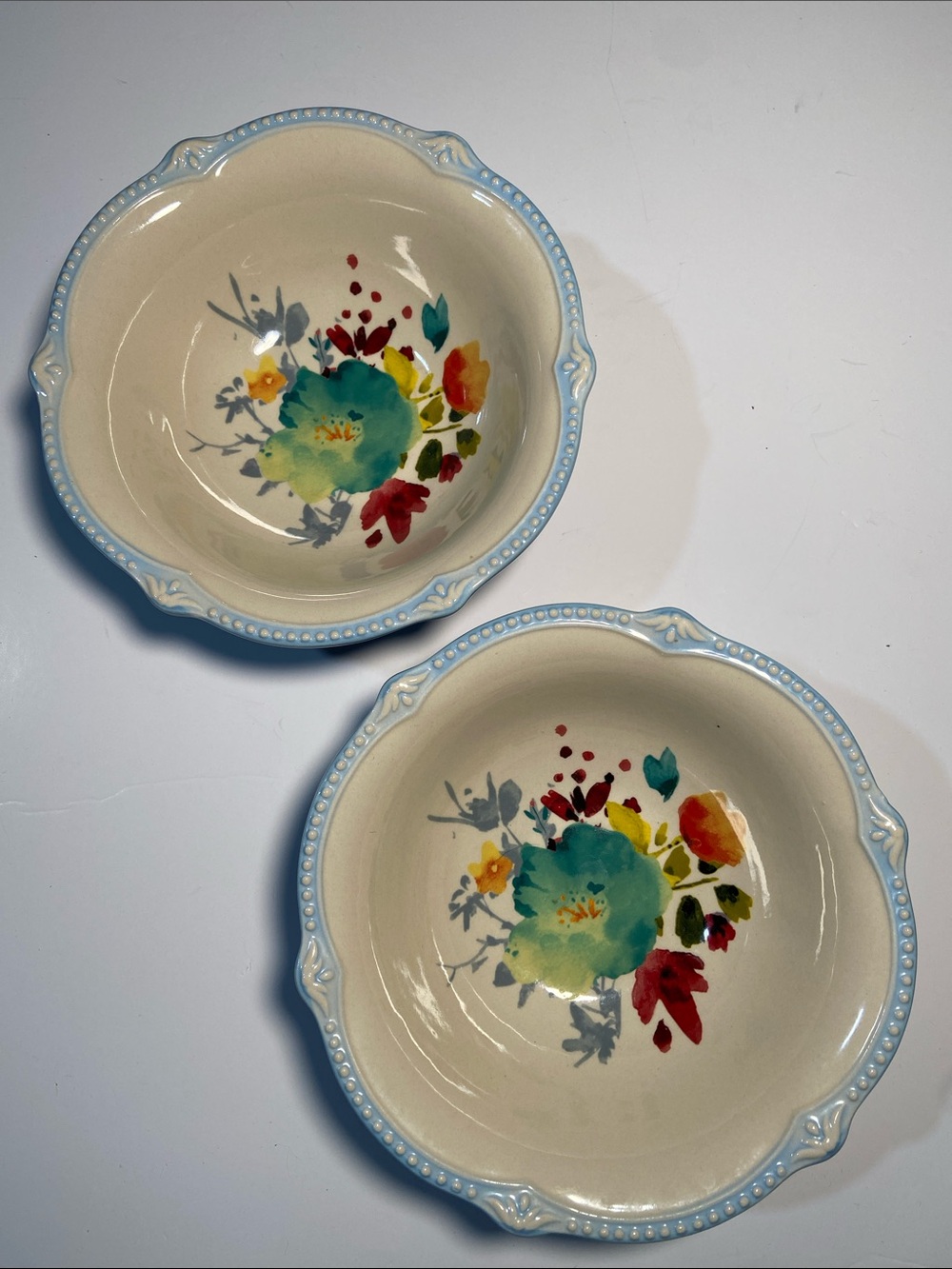NWT The Pioneer Woman Willow Bowls-very hard to find 🔥 set of 2
